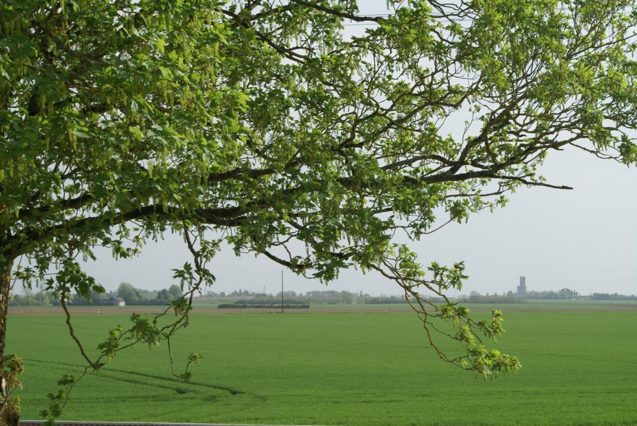 Ferme De Mesangeon Villa Beauvilliers  Dış mekan fotoğraf